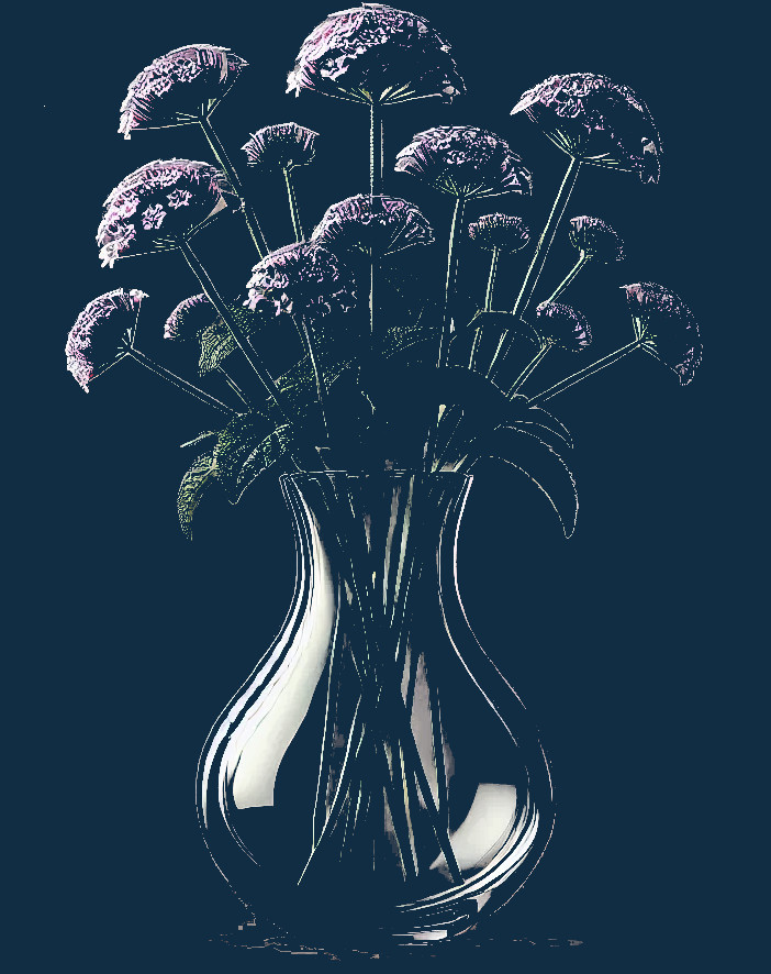 Verbena flowers